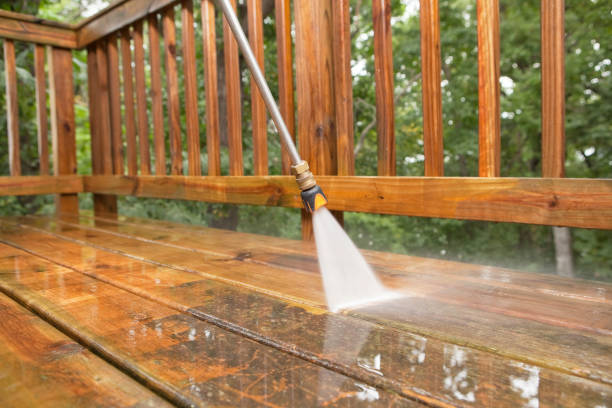 Best Post-Construction Pressure Washing in Cheval, FL